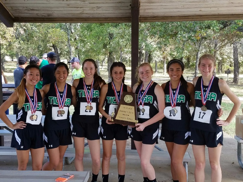 Picture of 2016 District 22-A Girls Cross Country District Champs